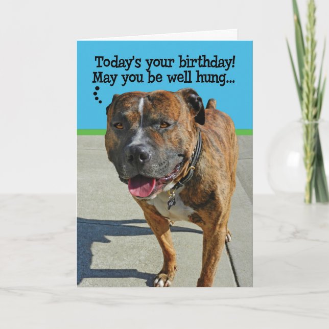 Funny Pit Bull Birthday Card (Front)