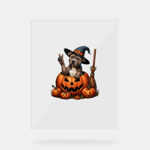 Funny Pitbull Witch Pumpkin Dog Halloween Mens Wom Acrylic Sign