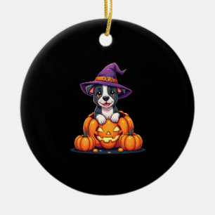 Funny Pitbull Witch Pumpkin Dog Halloween Mens Wom Ceramic Ornament