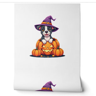 Funny Pitbull Witch Pumpkin Dog Halloween Mens Wom Wallpaper