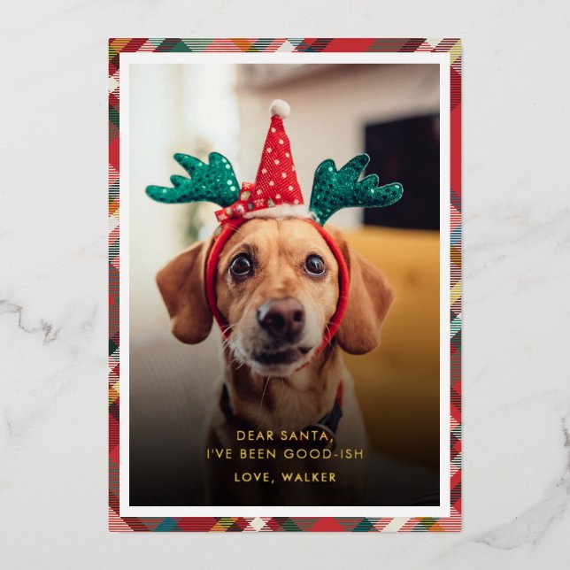 Funny Plaid Dog Pet Photo Christmas Foil Holiday Card (Front)