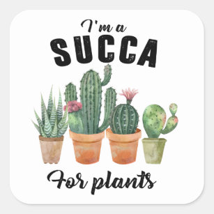 Funny plants succulent potted cacti cactus  square sticker