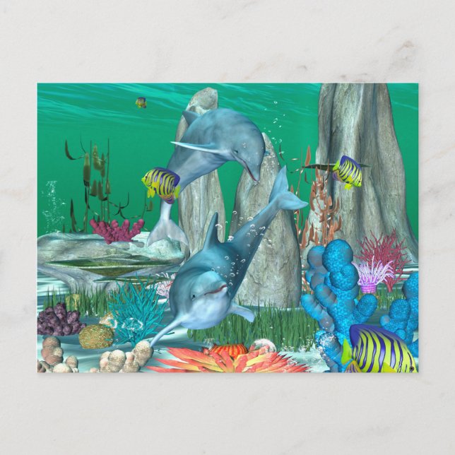 Funny playing dolphins with other fish postcard (Front)