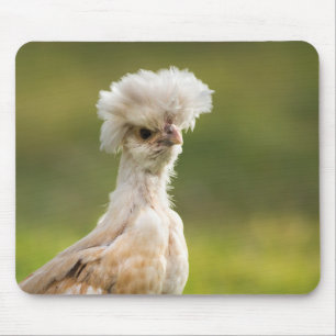 Funny Polish Chicken Mouse Pad