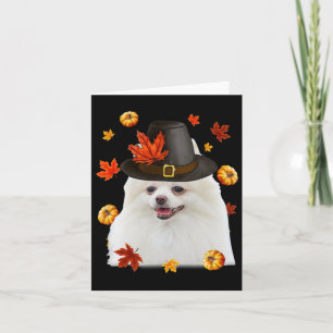 Funny Pomeranian Dog Pilgrim Hat Fall Happy Thanks Card