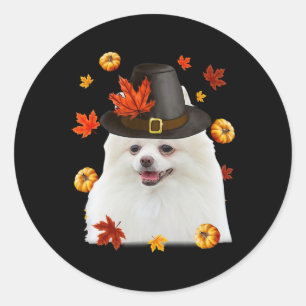 Funny Pomeranian Dog Pilgrim Hat Fall Happy Thanks Classic Round Sticker