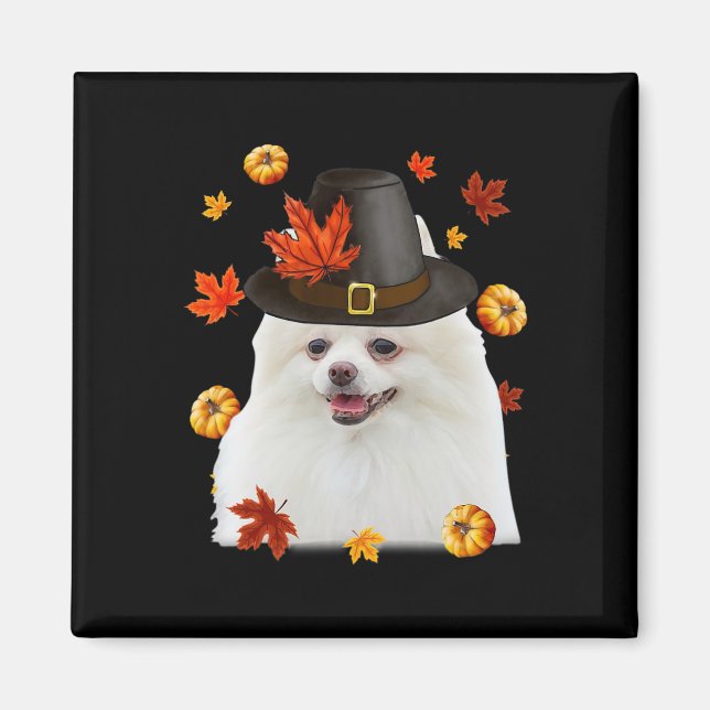 Funny Pomeranian Dog Pilgrim Hat Fall Happy Thanks Magnet (Front)
