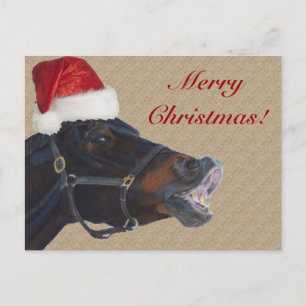 Funny Pony Merry Christmas Holiday Postcard