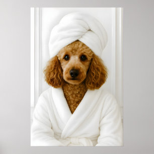 Funny Poodle Bathroom Print, Poodle In Bathrobe Poster