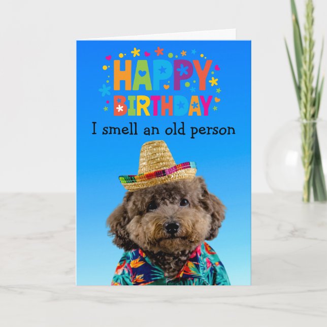 Funny Poodle dog birthday card (Front)