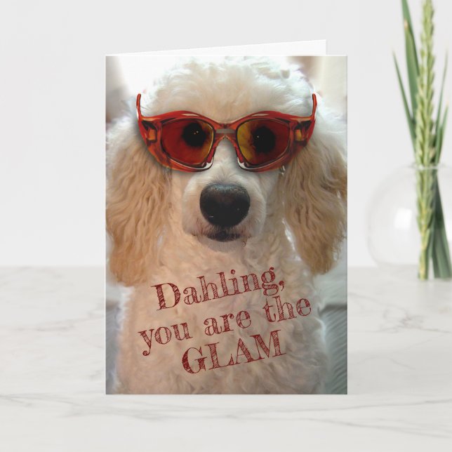 Funny Poodle Wearing Shades Sunglasses Card (Front)