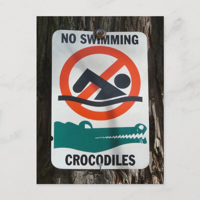 Funny Pool or Swimming Hole Sign Postcard (Front)