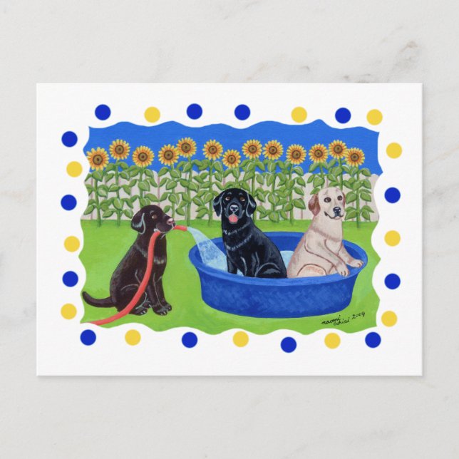 Funny Pool Party Labradors Postcard (Front)