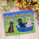 Funny Pool Party Labradors Postcard<br><div class="desc">Whimsy and funny Labrador Retriever Pool Party Painting design created by Naomi Ochiai from Japan. Nice dog gifts for Labrador lover's home. Great fun gifts for yourself, too. Black Labrador, Chocolate Labrador, Yellow Labrador are all painted in the picture. Happy Labrador Retriever dogs enjoy having fun with their kid pool...</div>