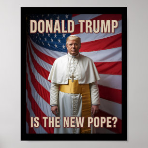 Funny Pope And President Donald Trump6 Poster