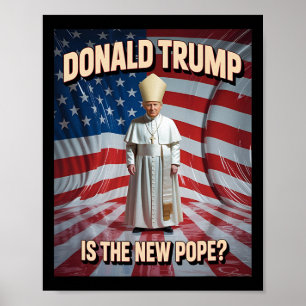 Funny Pope And President Donald Trump7 Poster