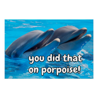 Funny Porpoise Memes Funny Porpoise Sayings Quotes Poster