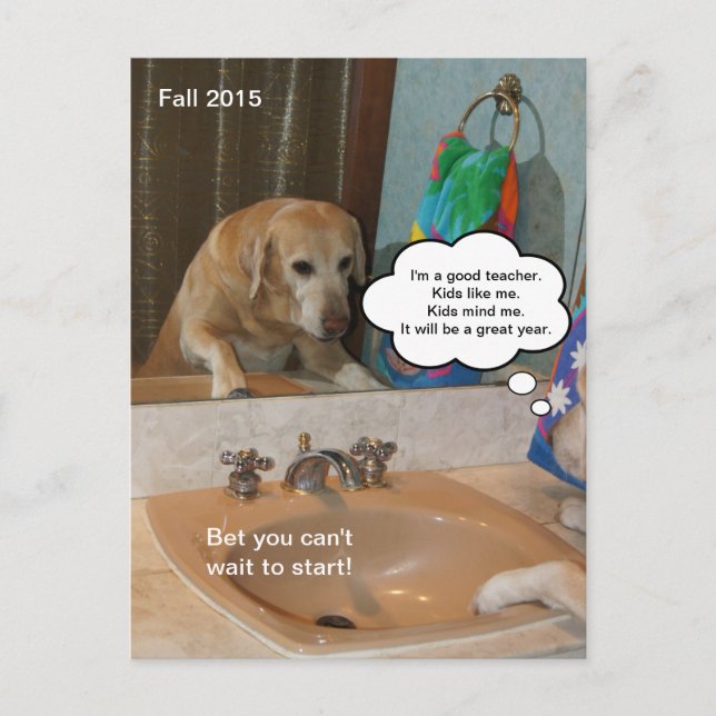 Funny Positive Affirmation Postcard for Teacher (Front)