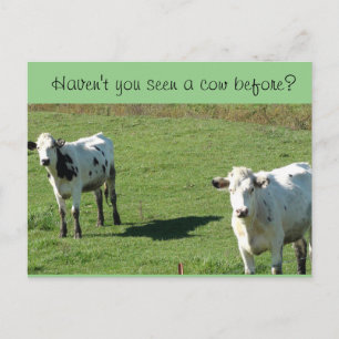 Funny Postcard, "Haven't you seen a Cow Before?" Postcard