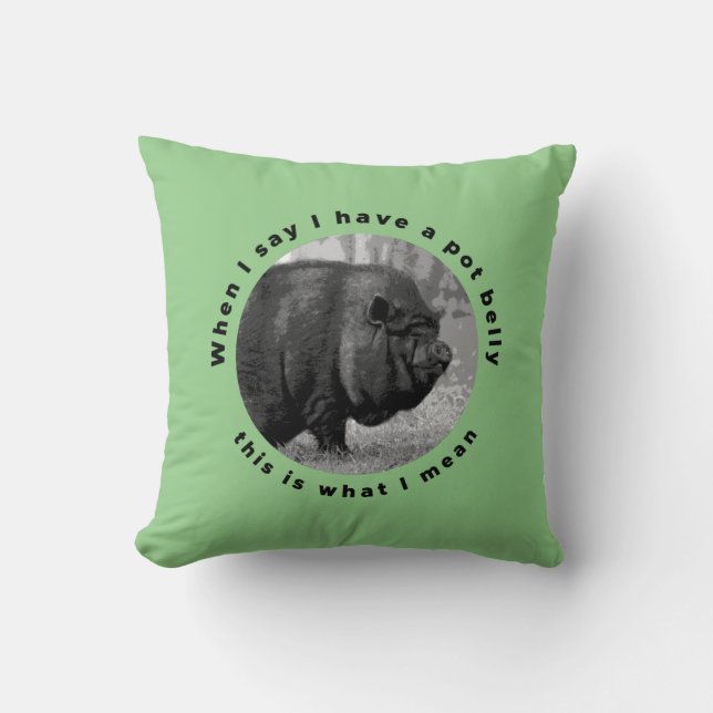 Funny pot bellied pig cushion (Front)