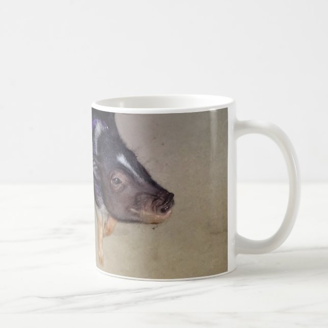 Funny Pot Bellied Pig Photography Mug (Right)
