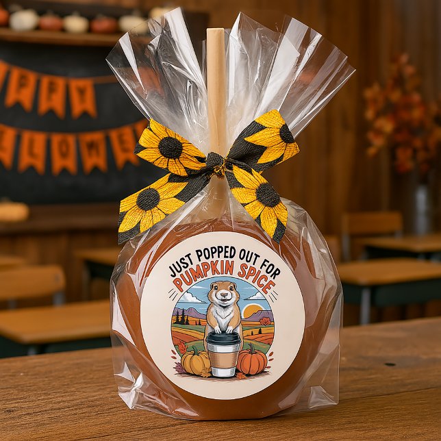 Funny Prairie Dog Fall Pumpkin Spice Party Classic Round Sticker (prairie dog pumpkin spice Halloween party treat bag and box labels)