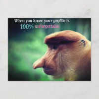 Funny proboscis monkey