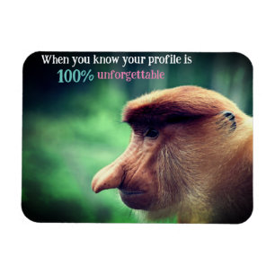 Funny proboscis monkey magnet