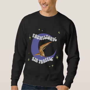 Funny Pterodactyl Moon Aviation Humour Sweatshirt