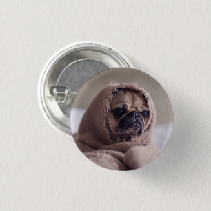 Funny Pug Dog Wrapped in a Scarf 3 Cm Round Badge