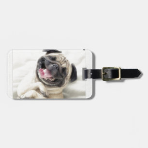 funny pug insanity luggage tag