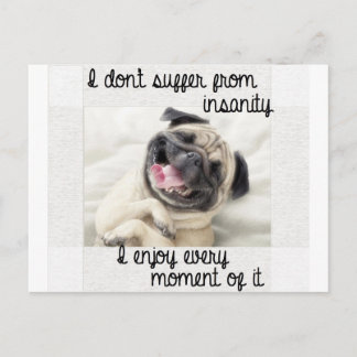 funny pug insanity postcard