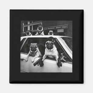 Funny pug meme pug gangster dog street style  magnet