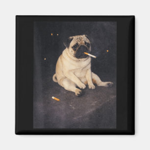 Funny Pug Smoking Meme Cigarette Dog Meme Street Magnet