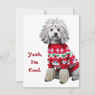 Funny Puli in Christmas Sweater Holiday Card