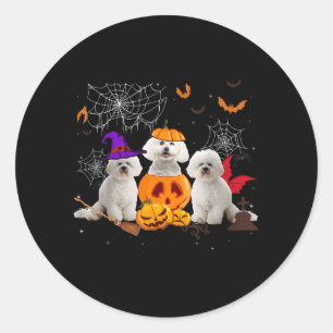 Funny Pumpkin Witch Bichon Frise Dog Halloween Classic Round Sticker