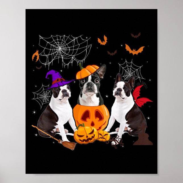 Funny Pumpkin Witch Boston Terrier Dog Halloween Poster (Front)