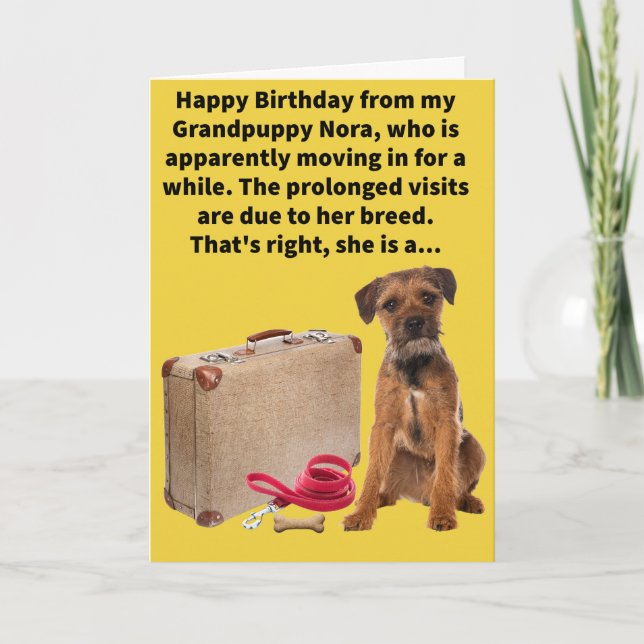 Funny Pun Boarder Terrier Happy Birthday Card (Front)