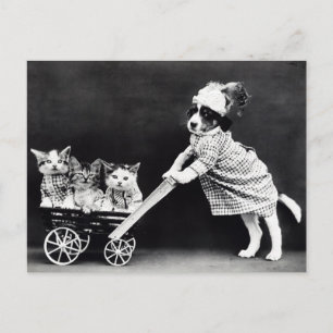 Funny Puppy and Kittens Postcard Restored