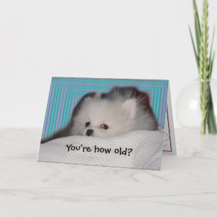 Funny Puppy Birthday Card