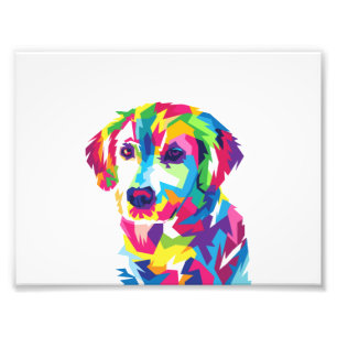 Funny Puppy colourful - Choose background colour Photo Print