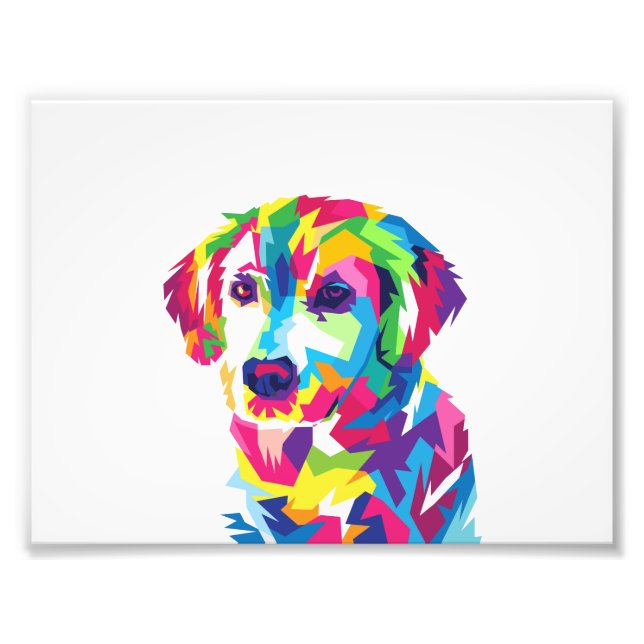 Funny Puppy colourful - Choose background colour Photo Print (Front)