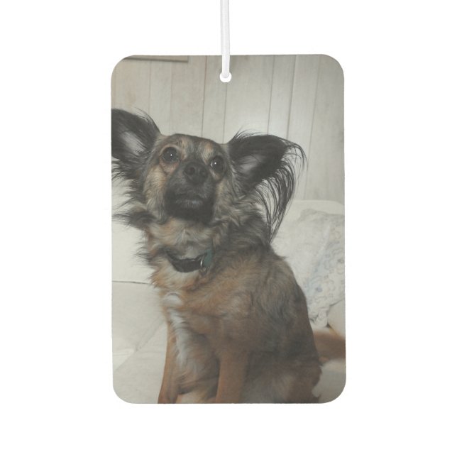 Funny Puppy Dog Pet Photo Personalised Car Air Freshener (Front)