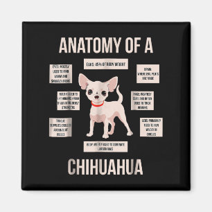 Funny Puppy Gift Anatomy Of A Chihuahua Magnet
