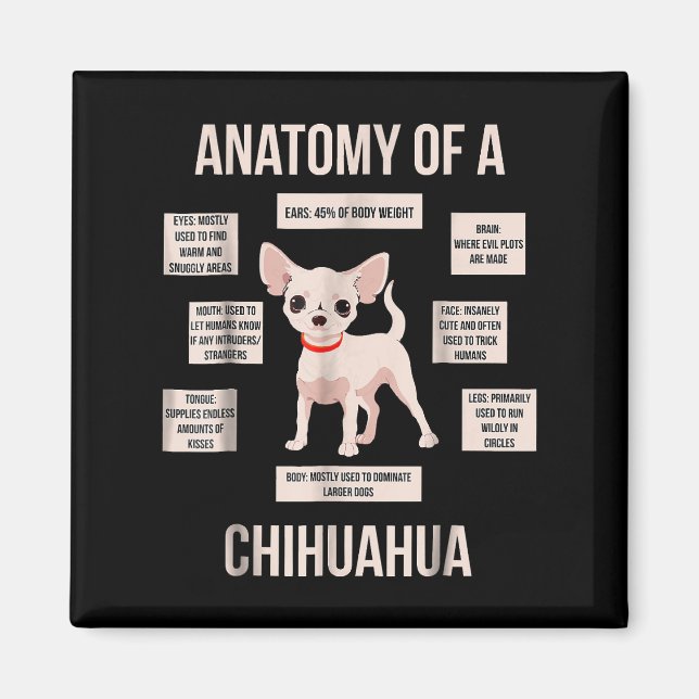 Funny Puppy Gift Anatomy Of A Chihuahua  Magnet (Front)