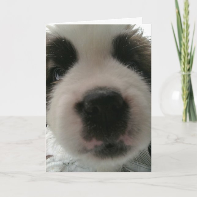 Funny Puppy Nose Card (Front)