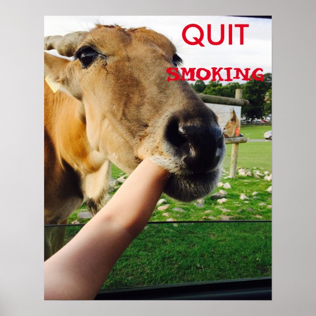 Funny quit smoking poster (Front)