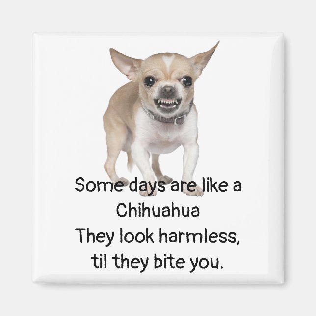 Funny Quote about Life with Chihuahua Dog Magnet (Front)