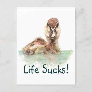 Funny Quote, Life Sucks, Angry Duck, Bird Square S Postcard