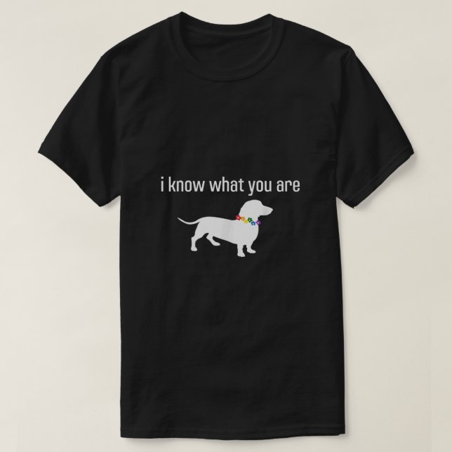 Funny Quote Meme I Know What You Are Homophobic Do T-Shirt (Design Front)